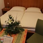 Obrázek double room with shower or bath tub, WC