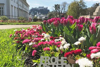 Frohe Ostern vom Rosenhügel in Salzburg | © Tourismus Salzburg GmbH / K. Brugger