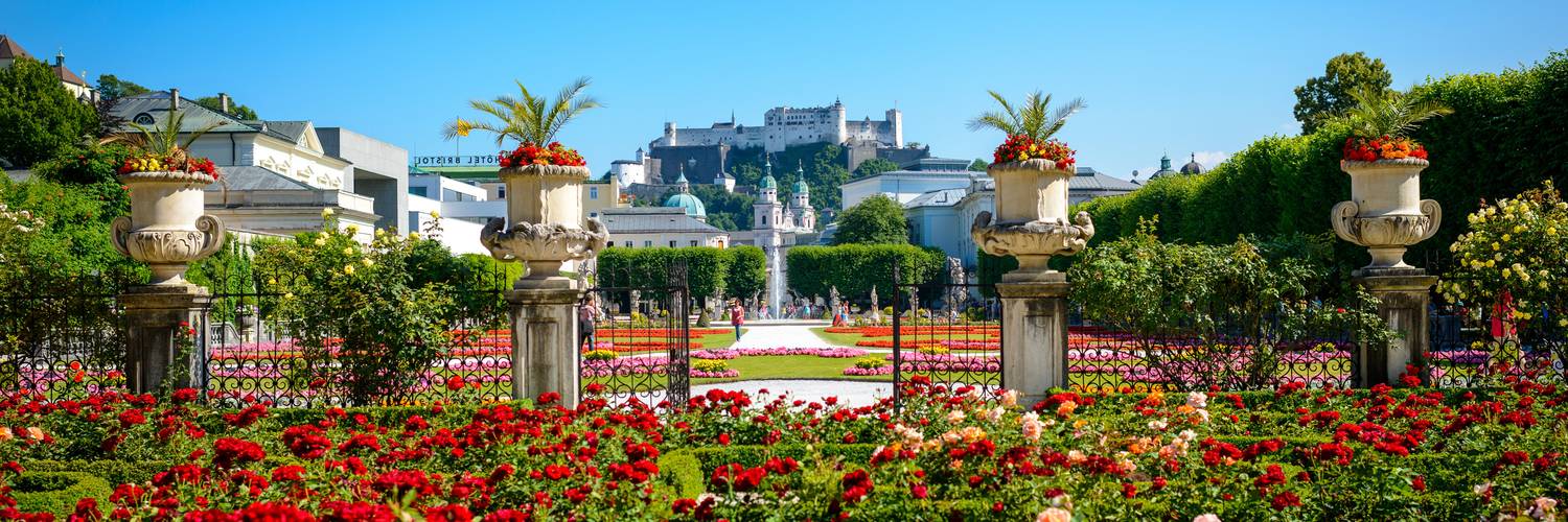 Roses in the Mirabell garden in Salzburg, with a view on the Hohensalzburg fortress | © Tourismus Salzburg / G. Breitegger