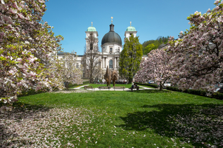 Dreifaltigkeitskirche im Frühling in Salzburg | © Tourismus Salzburg
