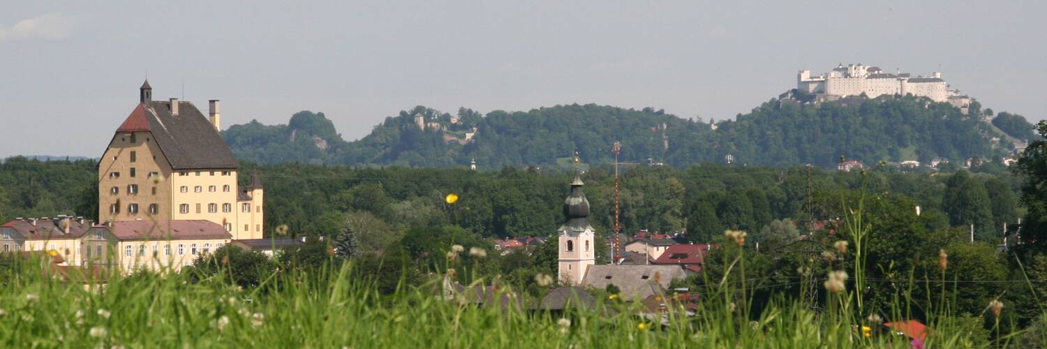 Elsbethen in the south-east of Salzburg with a view of Hohensalzburg Fortress | © TVB Elsbethen / Erwin Fuchsberger