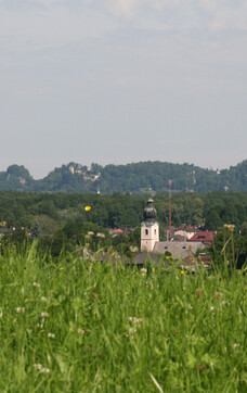 Elsbethen in the south-east of Salzburg with a view of Hohensalzburg Fortress | © TVB Elsbethen / Erwin Fuchsberger