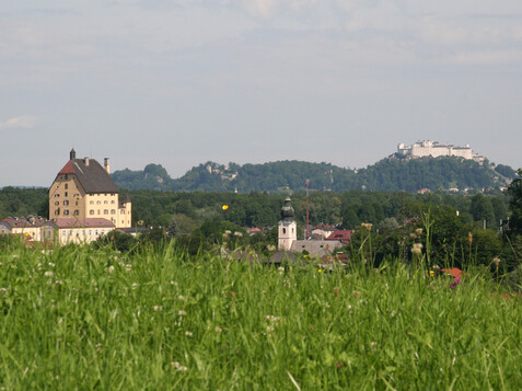 Elsbethen in the south-east of Salzburg with a view of Hohensalzburg Fortress | © TVB Elsbethen / Erwin Fuchsberger