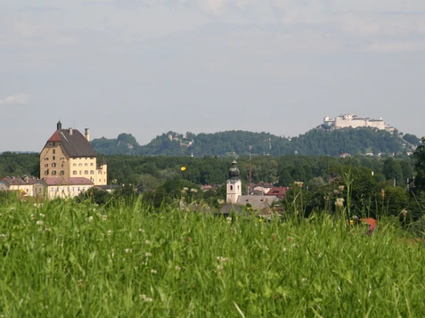 Das Stadtdorf Elsbethen im Südösten Salzburgs mit Blick auf die Festung Hohensalzburg | © TVB Elsbethen / Erwin Fuchsberger