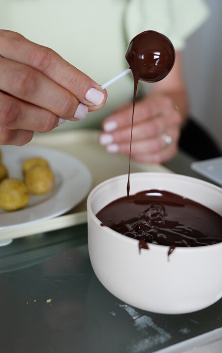 SALZBURG CITY OF MOZART SALZBURG INFO visual data 5