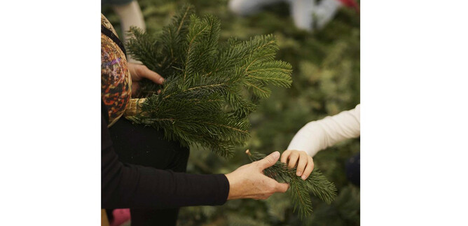 A person is handing a child a branch with green twigs. The two are standing on a floor made of fresh pine branches. | © Wressnigg