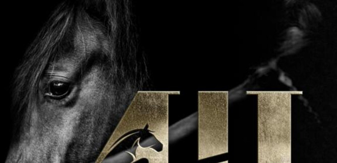 A horse's head in a dark environment, with a golden inscription in the foreground. The image conveys elegance and strength. | © Messezentrum Salzburg