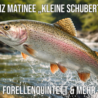Benefizmatinee | © Austrian Doctors