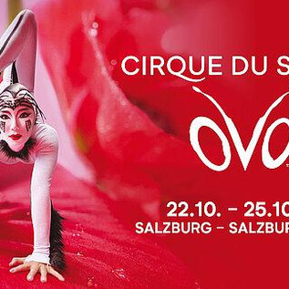 An artist from Cirque du Soleil in an acrobatic pose. The colors are vibrant and the image conveys a dynamic atmosphere. | © Live Nation Austria GmbH