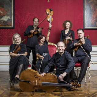A music group poses in front of a red background with historical paintings. They are playing various string instruments and wearing black clothing. | © DQS/Leopold
