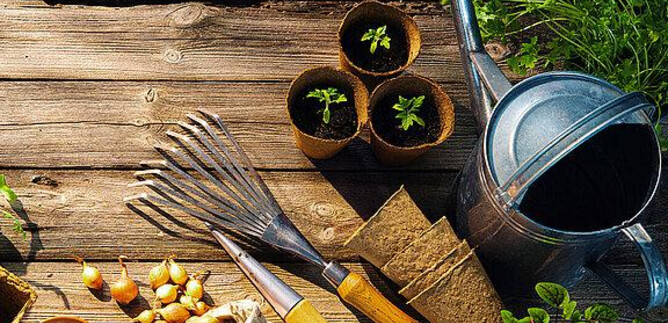 A gardening workspace with plant pots, a watering can, and gardening tools. Seeds and fresh plants are visible on the wooden surface. | © Messezentrum Salzburg