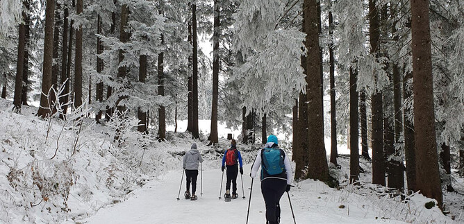 Eine Gruppe von Personen wandert mit Schneeschuhen durch einen verschneiten Wald. Die Bäume sind mit Schnee bedeckt und die Landschaft wirkt winterlich und ruhig. | © Sylvia Wienerroither