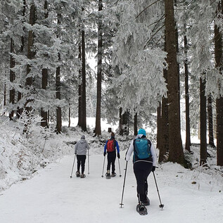 A group of people is snowshoeing through a snowy forest. The trees are covered in snow and the landscape appears wintery and serene. | © Sylvia Wienerroither