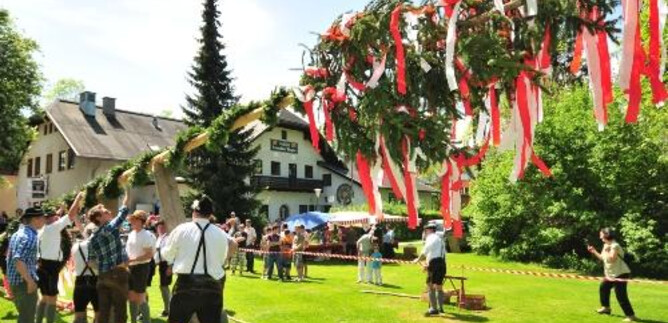 Eine fröhliche Feier im Freien, bei der ein Maibaum mit bunten Bändern aufgestellt wird. Menschen in traditioneller Kleidung versammeln sich auf einer Wiese vor einem Gasthaus. | © Brauchtumsgruppe 'Die Lustigen Salzburger'