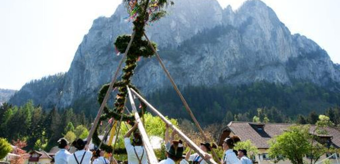 Maibaum | © Österreich Werbung