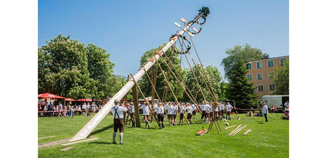 Ein traditionelles Fest mit einem Maibaum, der aufgestellt wird. Menschen in Trachten arbeiten gemeinsam an dem Baum in einer grünen Wiese. | © Stiegl Brauwelt