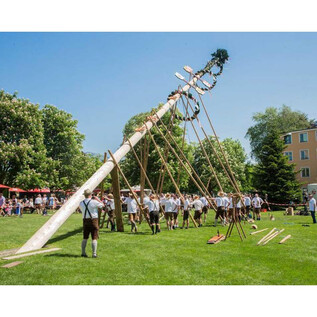 Egy hagyományos ünnep, ahol egy májusfát állítanak fel. Az emberek népviseletben közösen dolgoznak a fán egy zöld réten. | © Stiegl Brauwelt