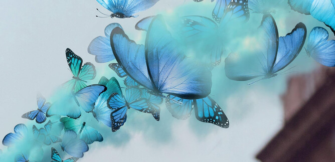 Swarms of blue butterflies fly through a bright sky. Their vibrant colors create a magical atmosphere. | © Annette Rollny / fokus-design.com