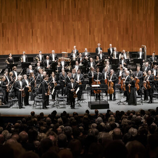 Un músico de orquesta está en el escenario frente a un público. Los músicos tocan diferentes instrumentos en un ambiente festivo. | © Stephan Rabold