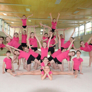 A group of gymnasts in pink t-shirts is posing on a gymnastics mat. They are demonstrating various acrobatic movements in a gymnasium. | © Privat