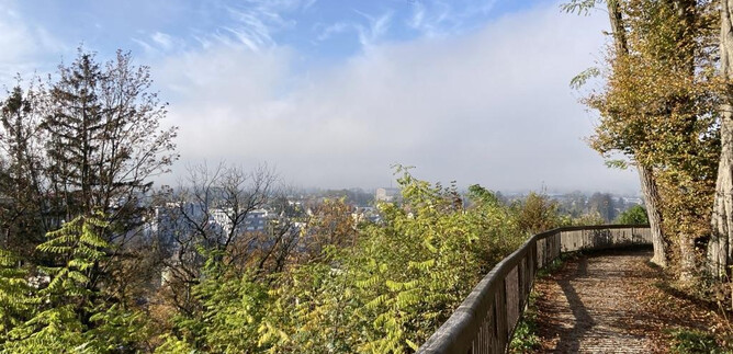 Un chemin pittoresque avec une balustrade en bois, entouré d'arbres et d'un ciel bleu éclatant. En arrière-plan, des nuages de brouillard doux sont visibles. | © Benjamin Huber