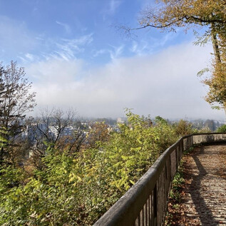 Un chemin pittoresque avec une balustrade en bois, entouré d'arbres et d'un ciel bleu éclatant. En arrière-plan, des nuages de brouillard doux sont visibles. | © Benjamin Huber