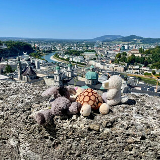 Eine Gruppe von Plüschtieren sitzt auf einem Felsen mit Blick über die Stadt. Im Hintergrund erstreckt sich eine schöne Landschaft mit Flüssen und Hügeln.