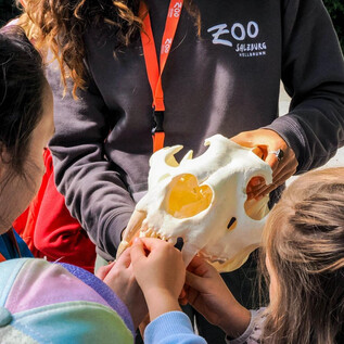 Zookids | © Zoo Salzburg