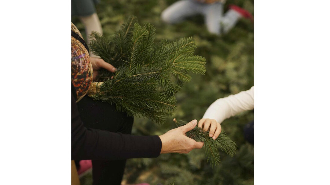 Advent wreath crafting salzburg.info