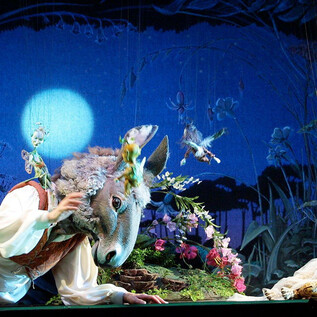 Szene aus "Ein Sommernachtstraum" | © Salzburger Marionettentheater