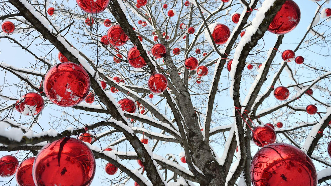 Rote Kugeln | © Hellbrunner Adventzauber