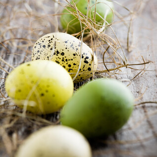 Ostereier | © Adobe Stock