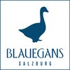 bg_blauegans_salzburg_logo_rgb